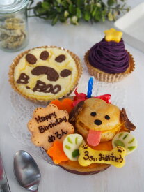 犬用ケーキ シュークリームのプチケーキの3点セット犬おやつ ケーキ 犬用 プチケーキ ドッグケーキ ワンちゃん 愛犬 ワンコケーキ 犬用ケーキ 犬の誕生日 手作り ケーキセット かわいい おしゃれ 可愛い 映え 犬のおやつ お祝い ペットケーキ 犬のプレゼント ペット