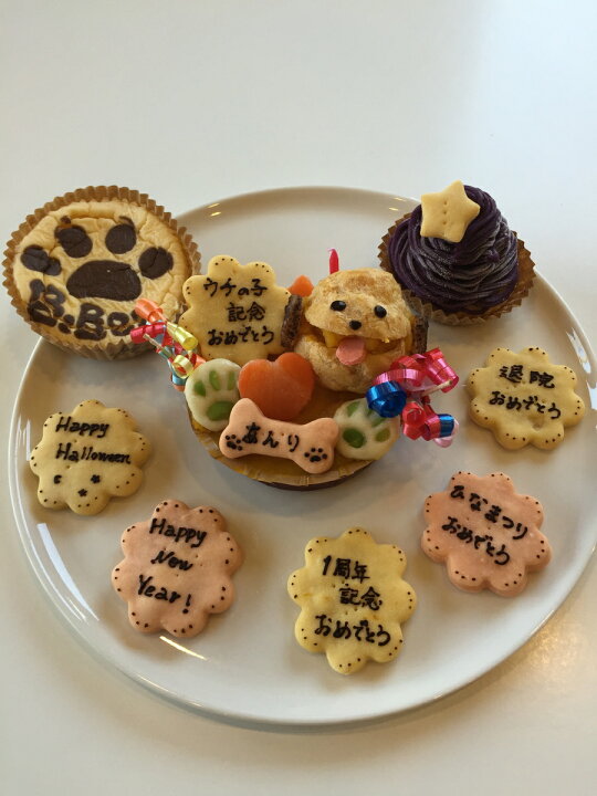 楽天市場 犬用ケーキ シュークリームのプチケーキの3点セット ワンコケーキ 犬用ケーキ 犬の誕生日 犬のおやつ 犬のお祝い 犬のプレゼント ｄｏｇｌａｂｂｕｂｂｌｅｂｏｏ