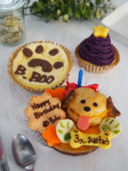 楽天市場 犬用ケーキ シュークリームのプチケーキの3点セット ワンコケーキ 犬用ケーキ 犬の誕生日 犬のおやつ 犬のお祝い 犬のプレゼント ｄｏｇｌａｂｂｕｂｂｌｅｂｏｏ