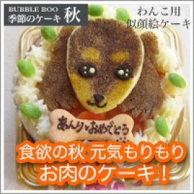 【秋のケーキ】食欲の秋 元気もりもり お肉のケーキ！ 12cm （お誕生日ケーキ　ワンコケーキ　犬用ケーキ　犬の誕生日　犬のおやつ　犬ケーキ　犬のお祝い　犬のプレゼント　手作り　プレゼント　お祝い　ケーキ　似顔絵）