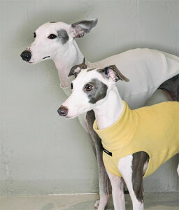  ~pjbg pbhCG[ xXg g[i[ ^ ۉ H~p U  gCv[h?`ɍœK ybg i