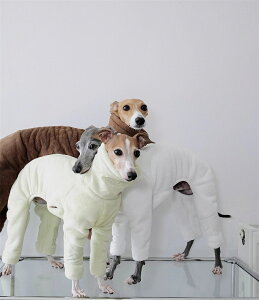 y}\N[|zzz ~pjbg pbhCG[ xXg g[i[ ^ ۉ H~p U  gCv[h?`ɍœK ybg i