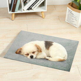 【最大1500円OFF!マラソン先行】30*40 ペット ホットカーペット 一年保証 タイマー 防水 ペットヒーター 猫 犬 ホットマット ヒーターマットペット用ホットカーペット カバー付き 電気ヒーター ペット電気毛布 省エネ 中小型ペット 噛みつき防止 寒さ対策