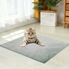 45*45 ペット ホットカーペット 一年保証 タイマー 防水 ペットヒーター 猫 犬 ホットマット ヒーターマットペット用ホットカーペット カバー付き 電気ヒーター ペット電気毛布 省エネ 中小型ペット 噛みつき防止 寒さ対策