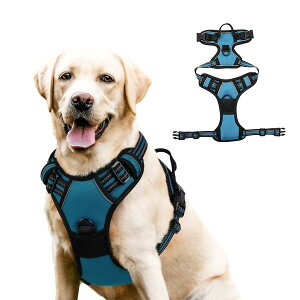 yVi\Iz  n[lX ^ ^ ^  킢 EȂ Č bN   nh ybg U ⏕  y CǋEΉ ߉\ S