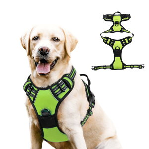 yVi\Iz  n[lX ^ ^ ^  킢 EȂ Č bN   nh ybg U ⏕  y CǋEΉ ߉\ S