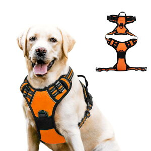 yVi\Iz  n[lX ^ ^ ^  킢 EȂ Č bN   nh ybg U ⏕  y CǋEΉ ߉\ S