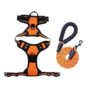 yVi\Iz  n[lX ^ ^ ^  킢 EȂ Č bN   nh ybg U ⏕  y CǋEΉ ߉\ S