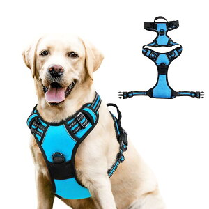 yVi\Iz  n[lX ^ ^ ^  킢 EȂ Č bN   nh ybg U ⏕  y CǋEΉ ߉\ S