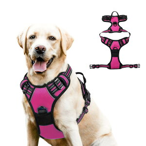 yVi\Iz  n[lX ^ ^ ^  킢 EȂ Č bN   nh ybg U ⏕  y CǋEΉ ߉\ S