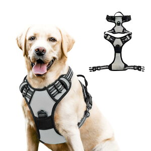 yVi\Iz  n[lX ^ ^ ^  킢 EȂ Č bN   nh ybg U ⏕  y CǋEΉ ߉\ S