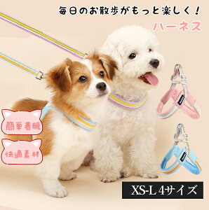  n[lX 킢  SȂ AɓȂ ^ ^ ȒP AEghA bV PUU[ ʋC \tgpbh S  y ߉\ h~ K X|[