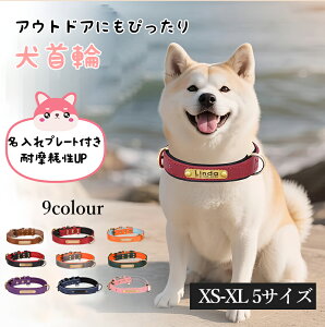 yOz   {v y  ^ ^ 킢 C^AU[ uh ` gCv[h _bNX т v U[  JX^  Vv