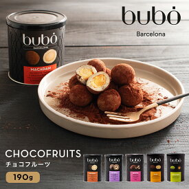 ブボ バルセロナ bubo チョコフルーツ マカダム ジャンドゥーヤ ブラウニー カシュー 190g スペイン 高級チョコレート バレンタイン 2026 ホワイトデー お返し