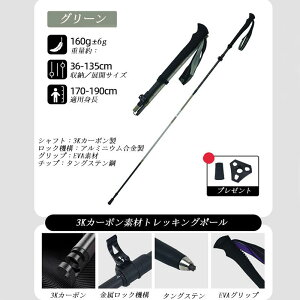 yN[|10OFFzgbLO|[ 3KJ[{ y 140g ܂肽ݎ oR |[ p|[ oRpXgbN EH[LO|[ [ܕt g|[  y Lk m