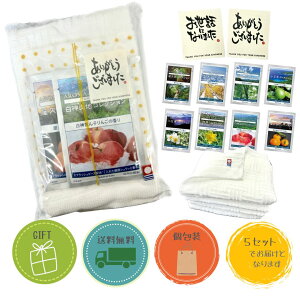 ސE v`Mtg gift201 tFCX^IZbg 5Zbg oXN A}Xp[NOV[Y2 tFCX^I1  bZ[W ٓ Yx bsOς