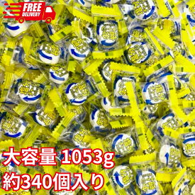 カバヤ 塩分チャージタブレッツ 大容量 1053g 約340個入り 塩レモン味 熱中症対策 業務用 塩分タブレット 塩タブレット クエン酸 カリウム 水分補給 塩分補給 清涼菓子 熱中症予防 部活動 外遊び 遠足 運動会 塩分 カリウム クエン酸 日本学校保健会推薦
