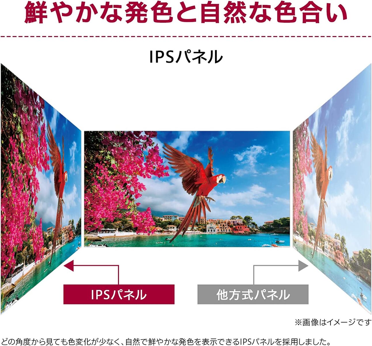 楽天市場】LG モニター ディスプレイ 29WL500-B 29インチ 21:9 平面