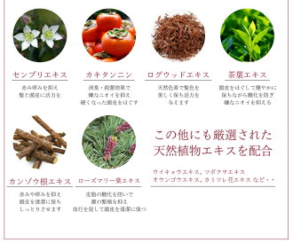 【今だけポイント5倍!】【Lパック送料無料】【メーカー直営】モチモチボリュームシャンプー300ml(即納/MOCHIMOCHI/頭皮ケア/スカルプ/オーガニック/アレルギー/ノンシリコン/ボリュームアップ)
