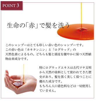 【今だけポイント5倍!】【Lパック送料無料】【メーカー直営】モチモチボリュームシャンプー300ml(即納/MOCHIMOCHI/頭皮ケア/スカルプ/オーガニック/アレルギー/ノンシリコン/ボリュームアップ)