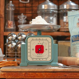 vʊ y DULTON z_g NVbN WFg XP[ CLASSIC GENTLE SCALE ʂ ͂  vʊ NbLO َq P[L  Lb`  G  g A