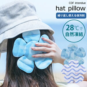 ǐՃ[֑ yKizCDF etendue PCM nbgs[ MǑ΍ObY ۗ Xq q p 킢  M  ΍ nbg ₽  Ђ nbgs[ wb