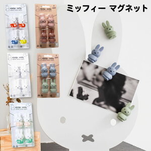 y }Olbg z ~btB[ }Olbg  tBMA  ①  CeA  킢 J[ ObY miffy   LbY SPJ