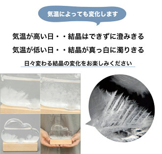 ストームグラスクラウドbittenビッテンビトゥンストームグラス結晶雲くも天気予報天気天候予測機器誕生日予報インテリアオブジェ置物ギフトプレゼント男性夏休み自由研究サイエンス科学理科かわいいおしゃれメンズstormcloud