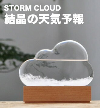 ストームグラスクラウドbittenビッテンビトゥンストームグラス結晶雲くも天気予報天気天候予測機器誕生日予報インテリアオブジェ置物ギフトプレゼント男性夏休み自由研究サイエンス科学理科かわいいおしゃれメンズstormcloud