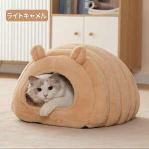 y}\ő2000~OFF×P5{zybgnEX h[^ eg^ 􂦂 H ~ M L 킢 ONbV tl ӂӂ _炩 g  LnEX nEX ^ qL