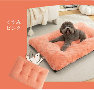 y}\ő2000~OFF×P5{zybg}bg 􂦂 Lp ybgNbV ybgxbh 킢 tl ӂӂ  QSnǂ G芴ǂ ӂ肠 XS M L LL 3L 4L 