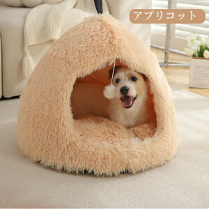 y}\ő2000~OFF×P5{zybgnEX h[^ eg^ t 􂦂 H ~ lGKp S M L LL 킢 ONbV ӂӂ _炩 VM[n  LnEX 