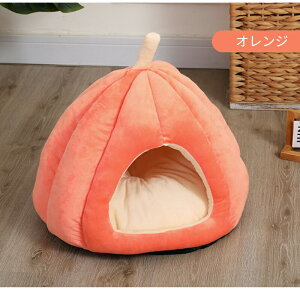 yBF聚ő2000~OFF×P5{zybgnEX h[^ eg^ ڂ^ 􂦂 H ~ S M L 킢 ONbV ӂ ӂӂ  LnEX nEX ^ qL L