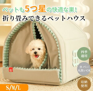 y}\ő2000~OFF×P5{zybgnEX h[^ eg^ ܂݉\ ܂肽 ܏ J[et 􂦂 H ~ lGKp S M L 킢  ӂӂ _炩  g L