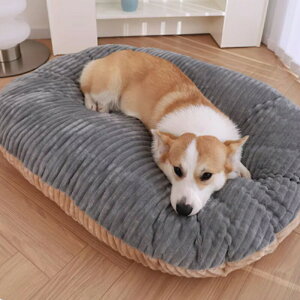 y}\ő2000~OFF×P5{zybgNbV Jo[O\ 􂦂 ybgxbh ȉ~^ tl ӂӂ ӂӂ 킢 g Lp QSnǂ G芴ǂ I[V