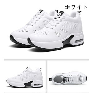 y}\ő2000~OFF×P5{zXj[J[ fB[X X|[cV[Y 8cm   y ʋC jbgbV GANbV ₷ EH[LOV[Y ɂ NbV