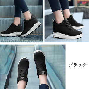 y}\ő2000~OFF×P5{zXj[J[ fB[X   9cmq[ GANbV r ʋC bV y ₷ ɂ NbV  tCjbgXj[