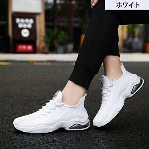 y}\ő2000~OFF×P5{zXj[J[ Y jOV[Y EH[LOV[Y ^V[Y  GANbV y ʋC ɂ ɂ _炩 K ^f