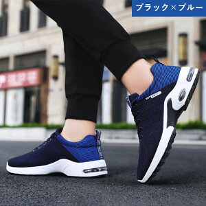 y}\ő2000~OFF×P5{zXj[J[ Y jOV[Y EH[LOV[Y ^C   GANbV y ʋC ɂ Ռz g[jO 3e L O 