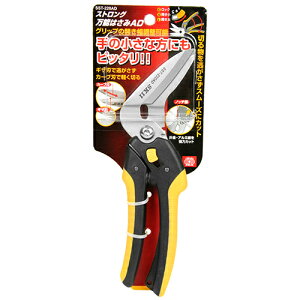 SK11 XgO\͂݁@AD SST-220AD