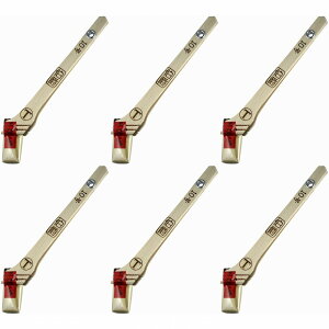 nfBENE -  - ؈ -  - 10 6Zbg