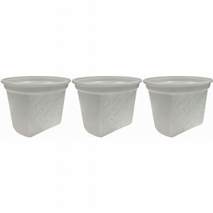 nfBENE - ʗp - nCubge 3Zbg