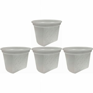 nfBENE - ʗp - nCubge 4Zbg