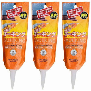 V[vwH - OǃR[LO - pE`200g -  3Zbg