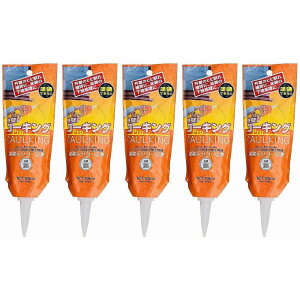 V[vwH - OǃR[LO - pE`200g -  5Zbg