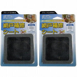 IWATANI 創進 網戸補修シート ブラック正方形大 2枚入り 2個セット