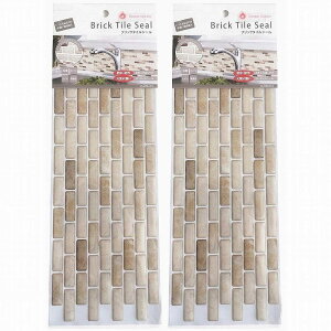 }X^[NX - ^CV[ - LBT[6 - A[i - ARENA - 376mm×134mm×1mm 2Zbg