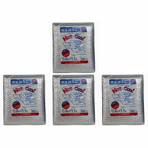 ^JCN@ɏՍށ@ۉEۗV[g@0D9m×1D1m 4Zbg