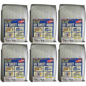 ^JCN@V[g@4000Vo[V[g@3D6×5D4 6Zbg