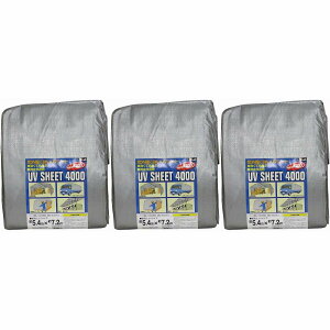 ^JCN@V[g@4000Vo[V[g@5D4×7D2 3Zbg